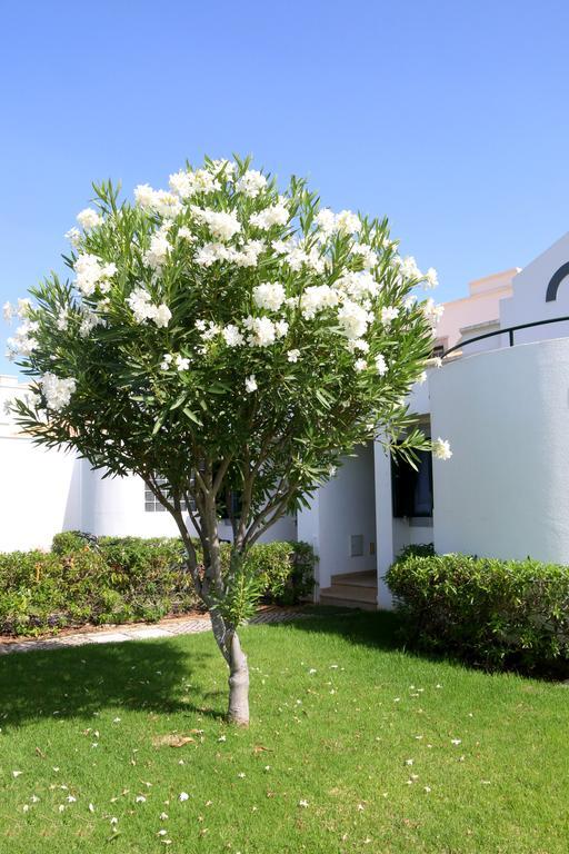 Cabana Da Ria Cabanas De Tavira Exterior foto